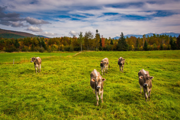 跟女生聊天技巧 跟女生聊天技巧